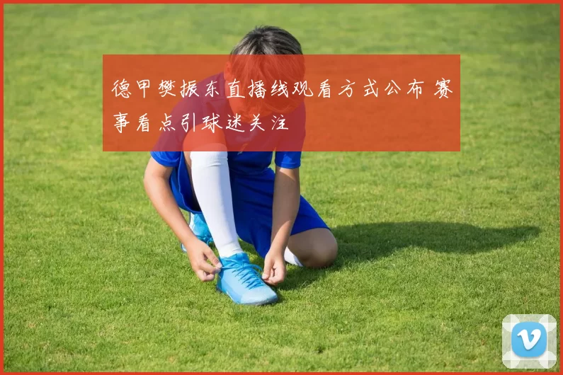 德甲樊振东直播线观看方式公布 赛事看点引球迷关注