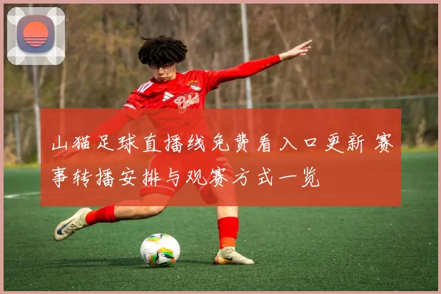 山猫足球直播线免费看入口更新 赛事转播安排与观赛方式一览