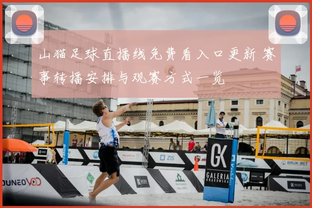 山猫足球直播线免费看入口更新 赛事转播安排与观赛方式一览