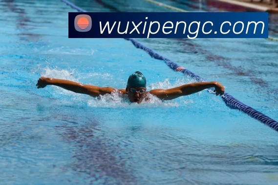 ku酷游(集团)官方网站服务体系